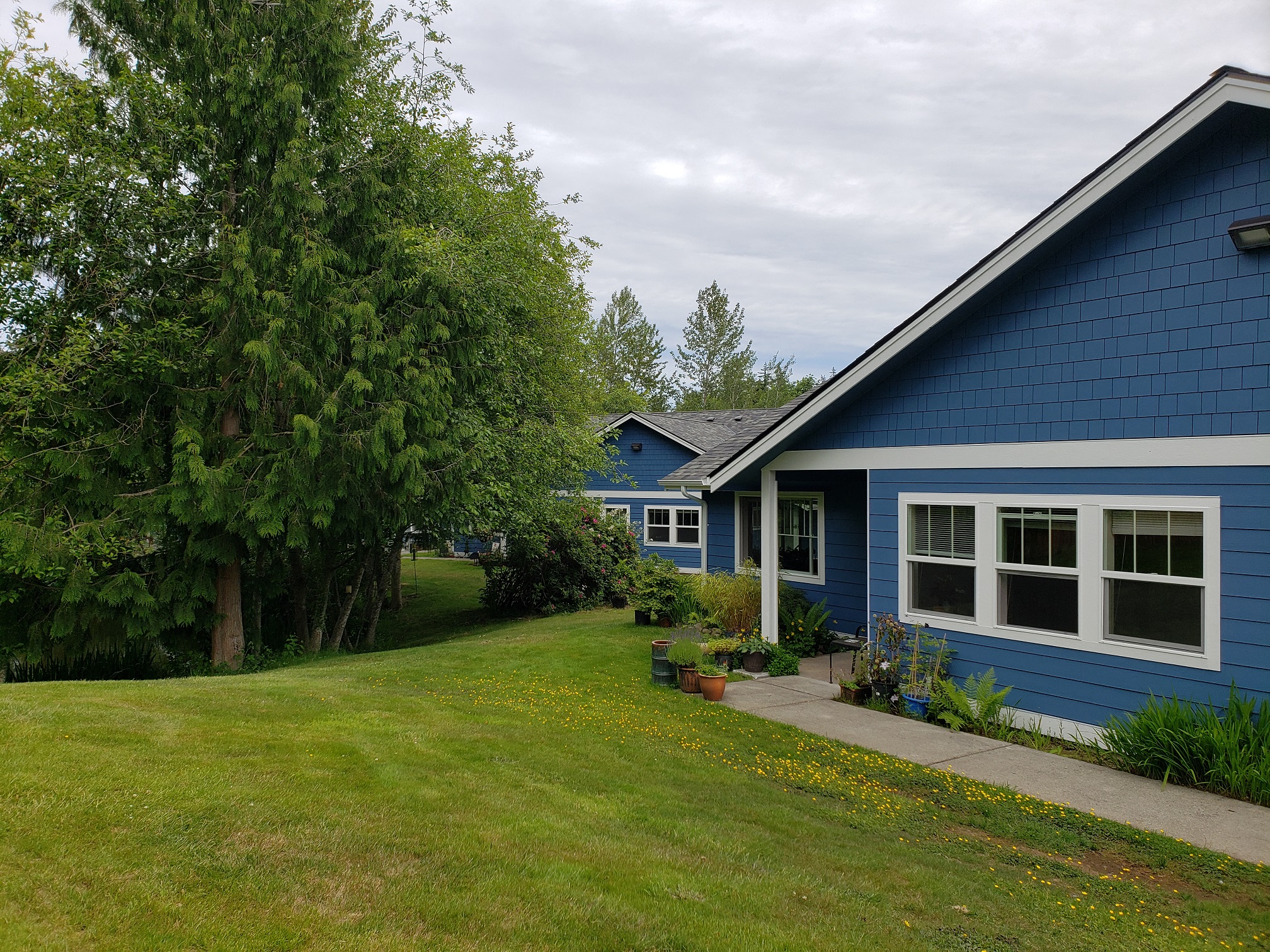 Cottages yard with flowers
